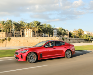 Kia Stinger Red Dynamic  (14)